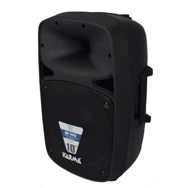 Coluna Passiva 10" 250W máx - Image 4