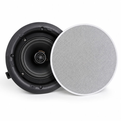 Coluna Tecto 100V 6,5" 30W