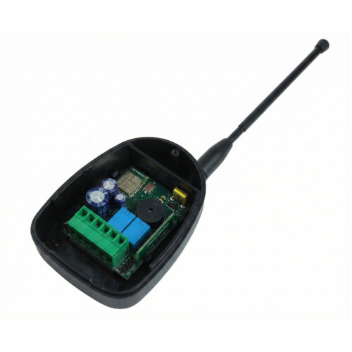 Receptor 1 Canal BT/Wi-Fi RSBW 2224